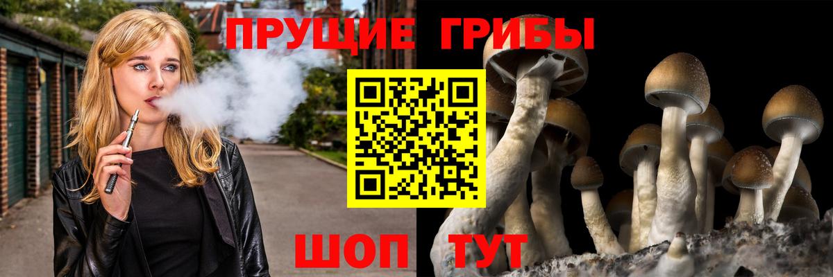 Галлюциногенные грибы Cubensis  Вход с VPN  хочу наркоту  Соликамск 